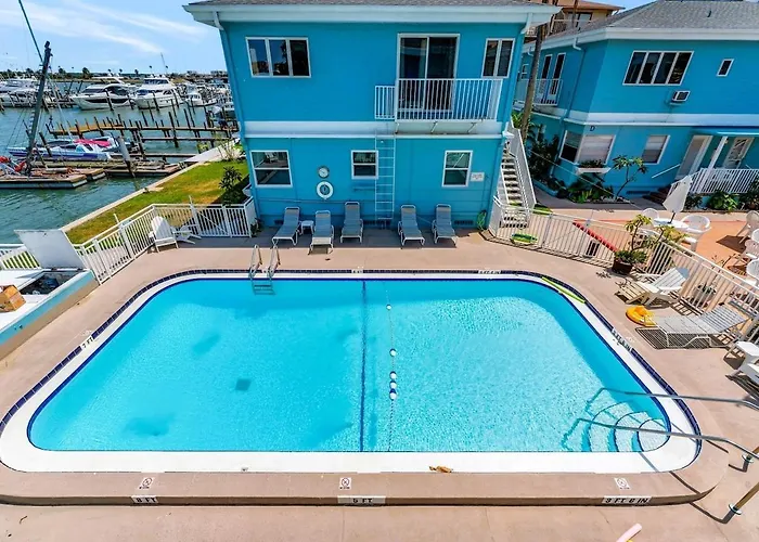 Apartment Watch The Dolphins Waterview 2-bed Heated Pool Clearwater Beach